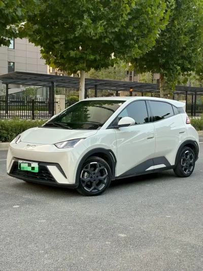 BYD Seagull