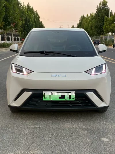 BYD Seagull
