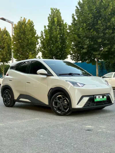 BYD Seagull