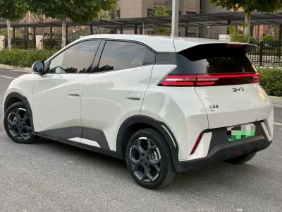 BYD Seagull