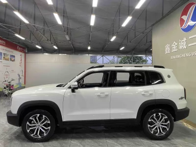 Haval Big Dog DaGou