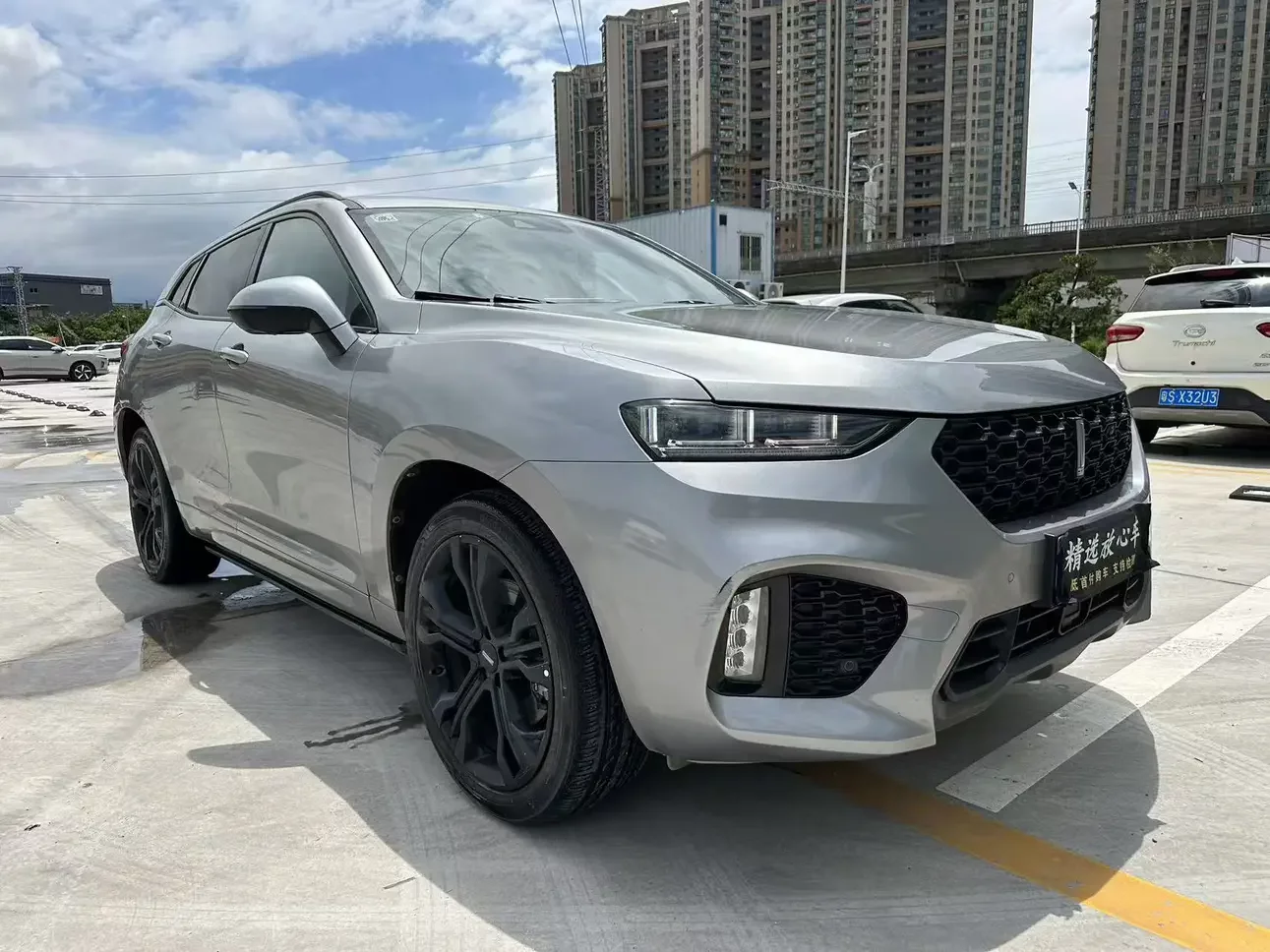 Wey Wei brand VV7