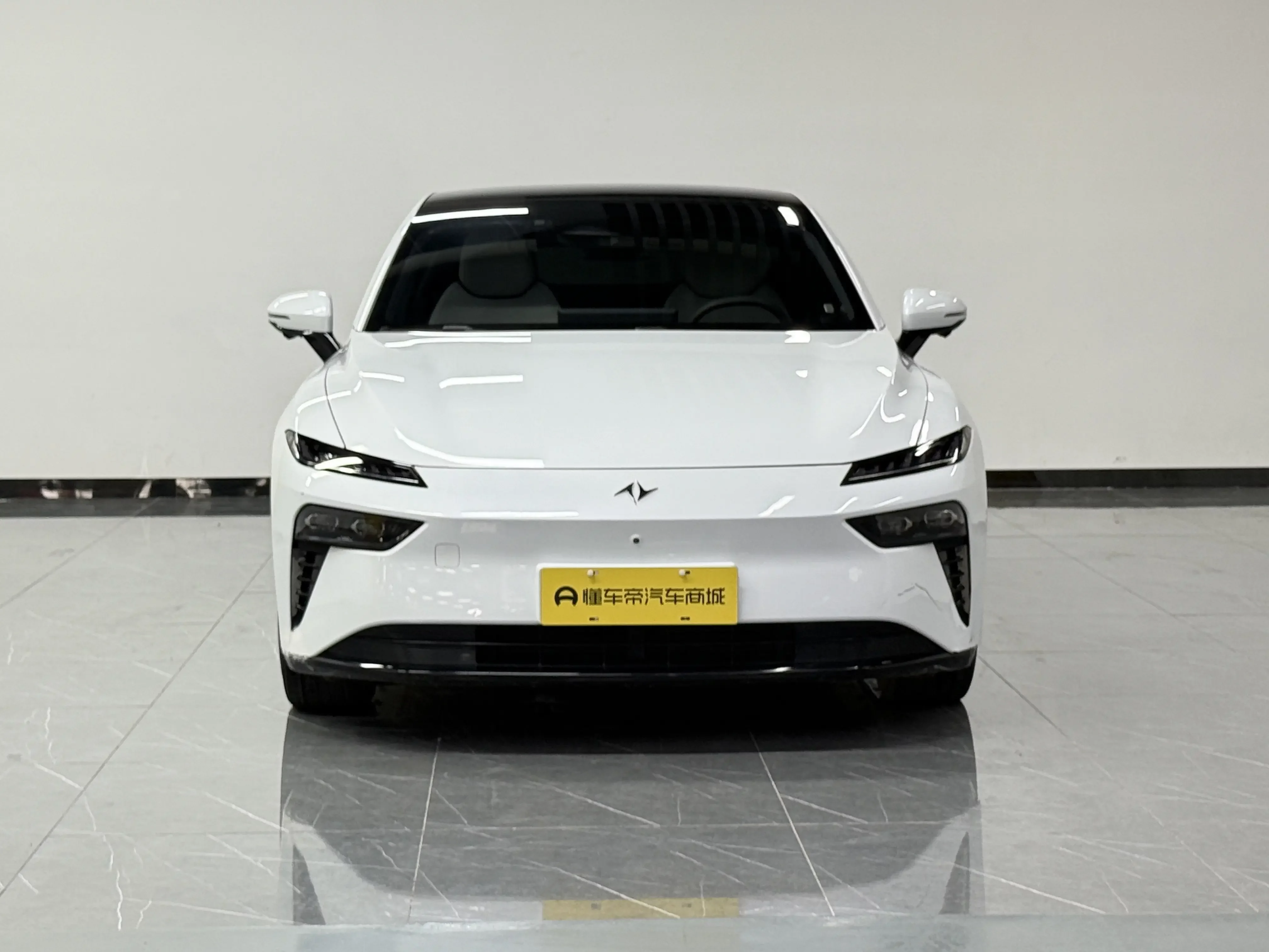 Dongfeng Yipai 007