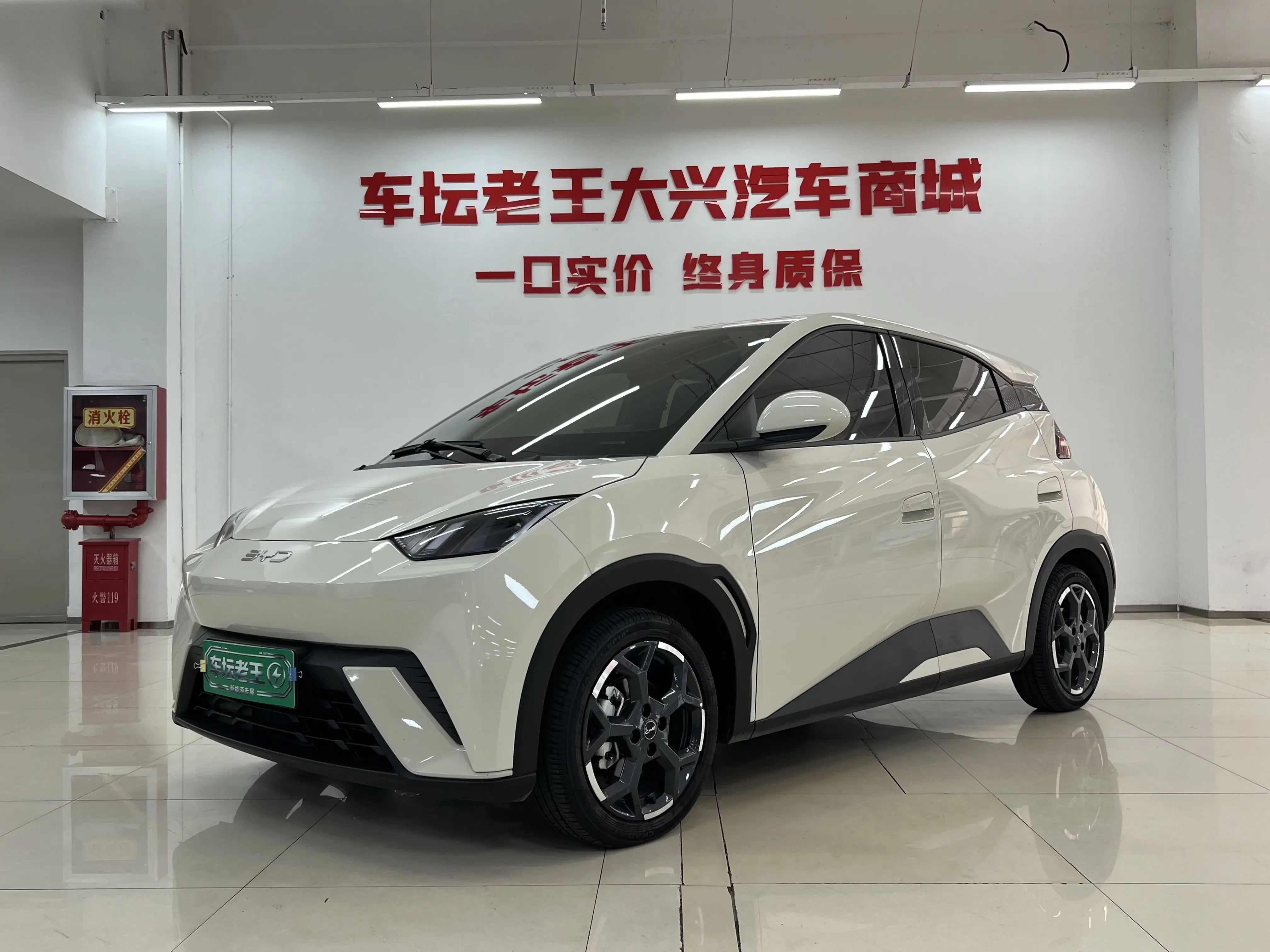 BYD Seagull