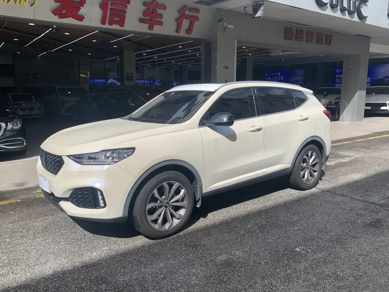 Wey Wei brand VV6