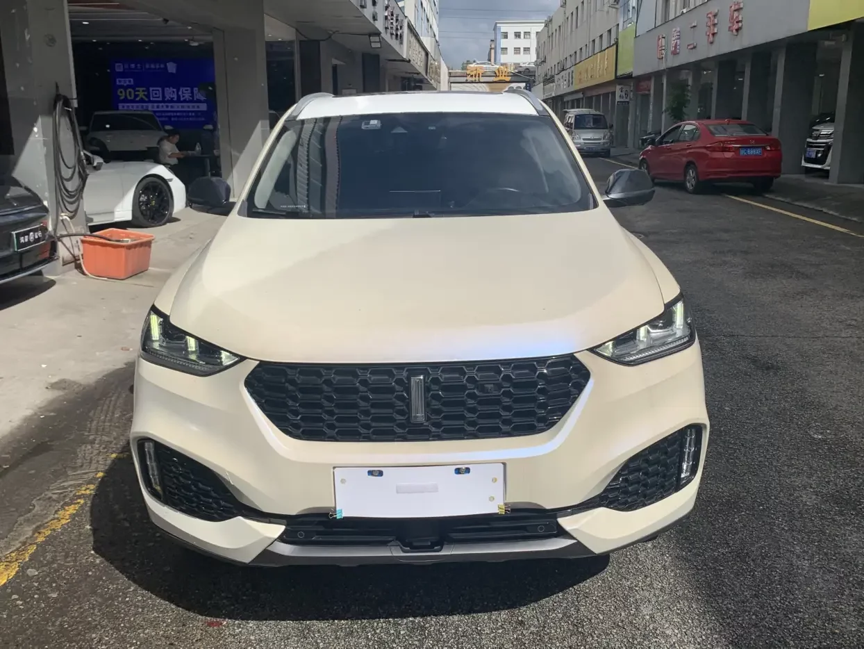 Wey Wei brand VV6