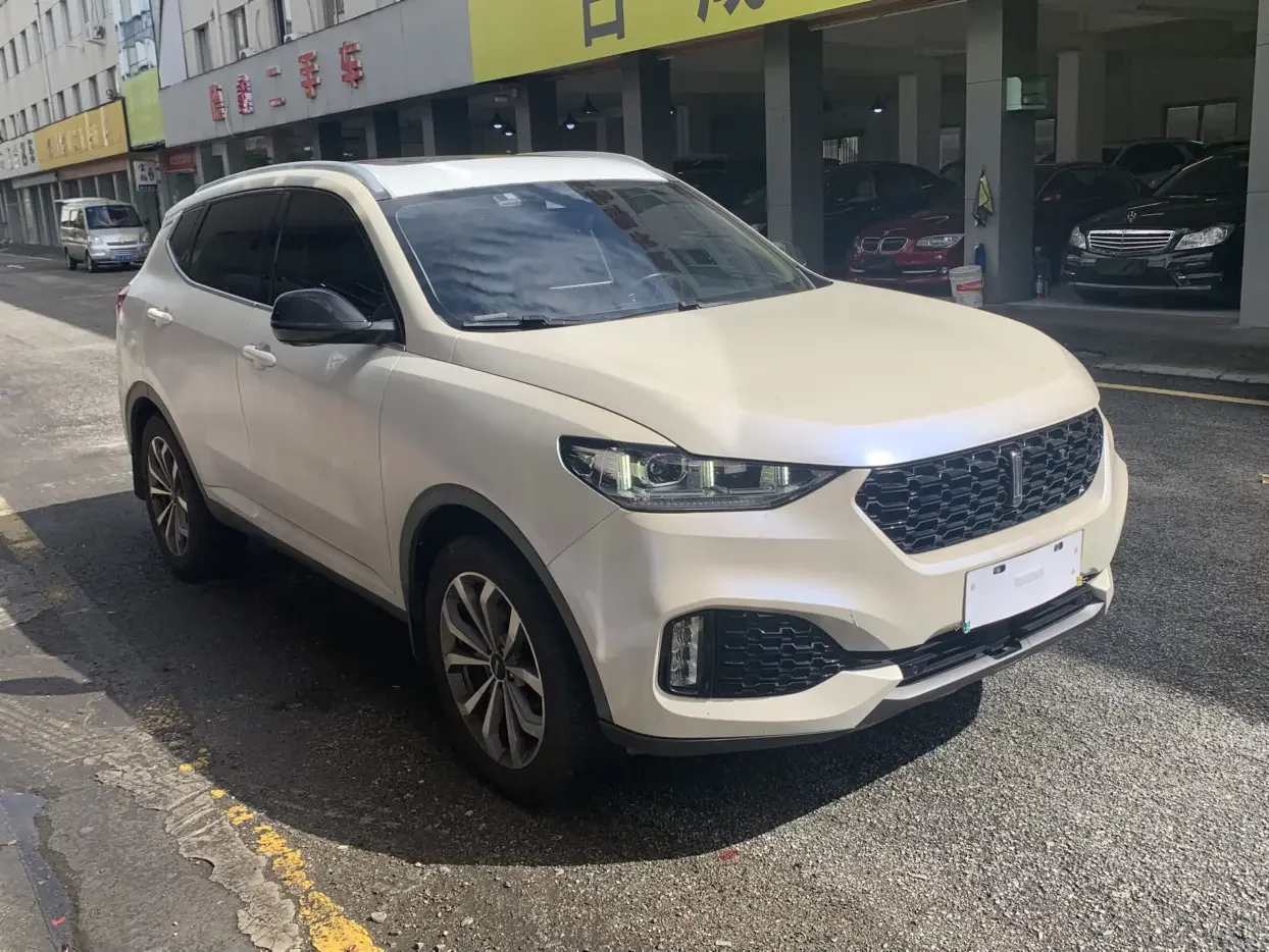 Wey Wei brand VV6