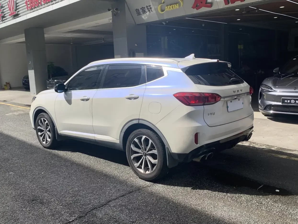 Wey Wei brand VV6