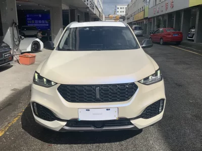 Wey Wei brand VV6
