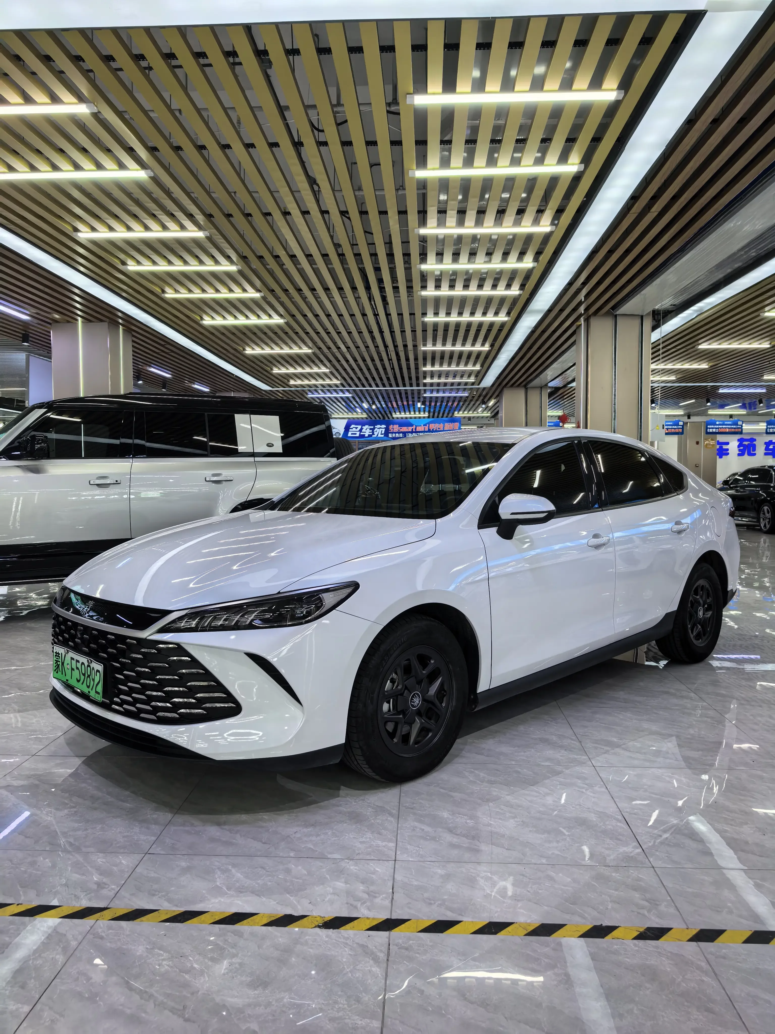 BYD Qin PLUS DM