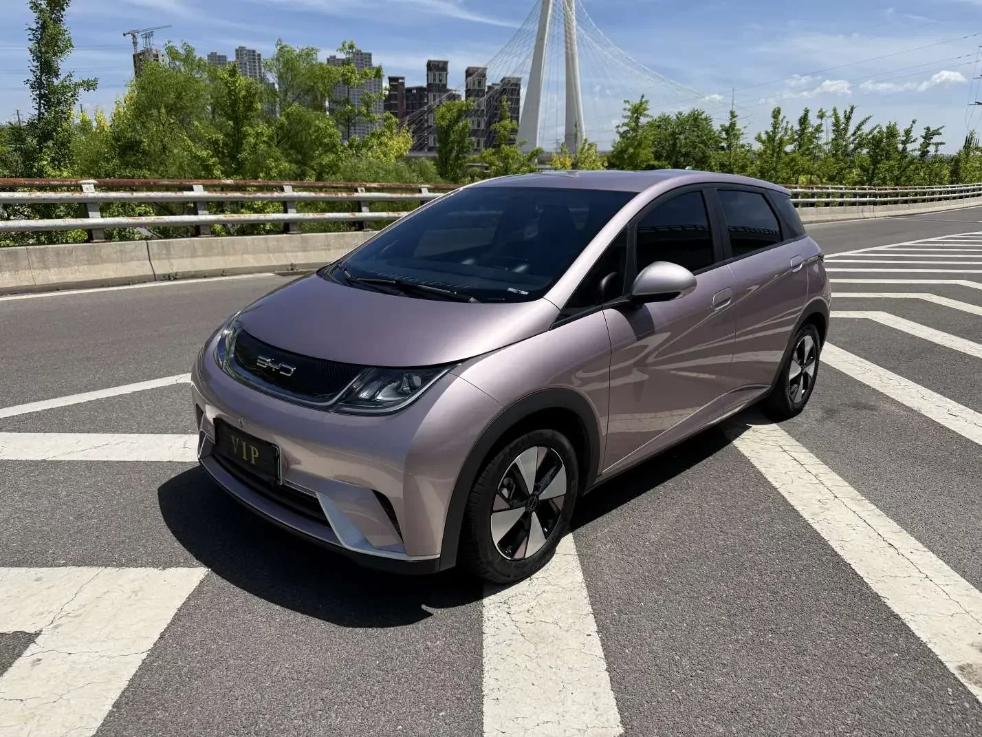 BYD Dolphin