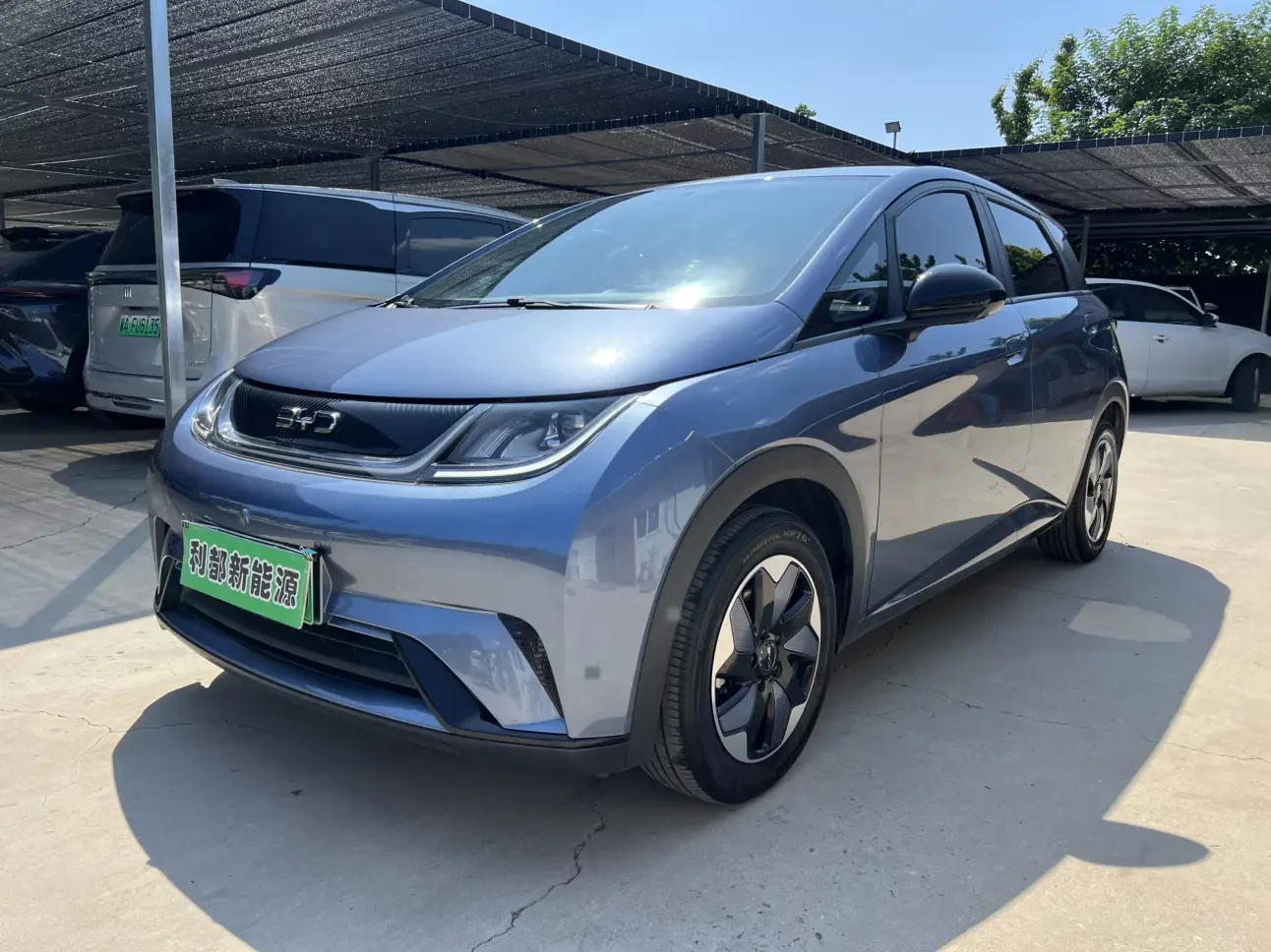 BYD Dolphin