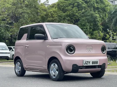Geely Panda