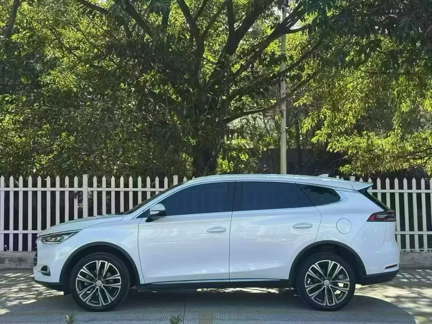 BYD Tang