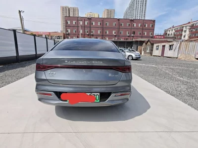 BYD Qin PLUS DM