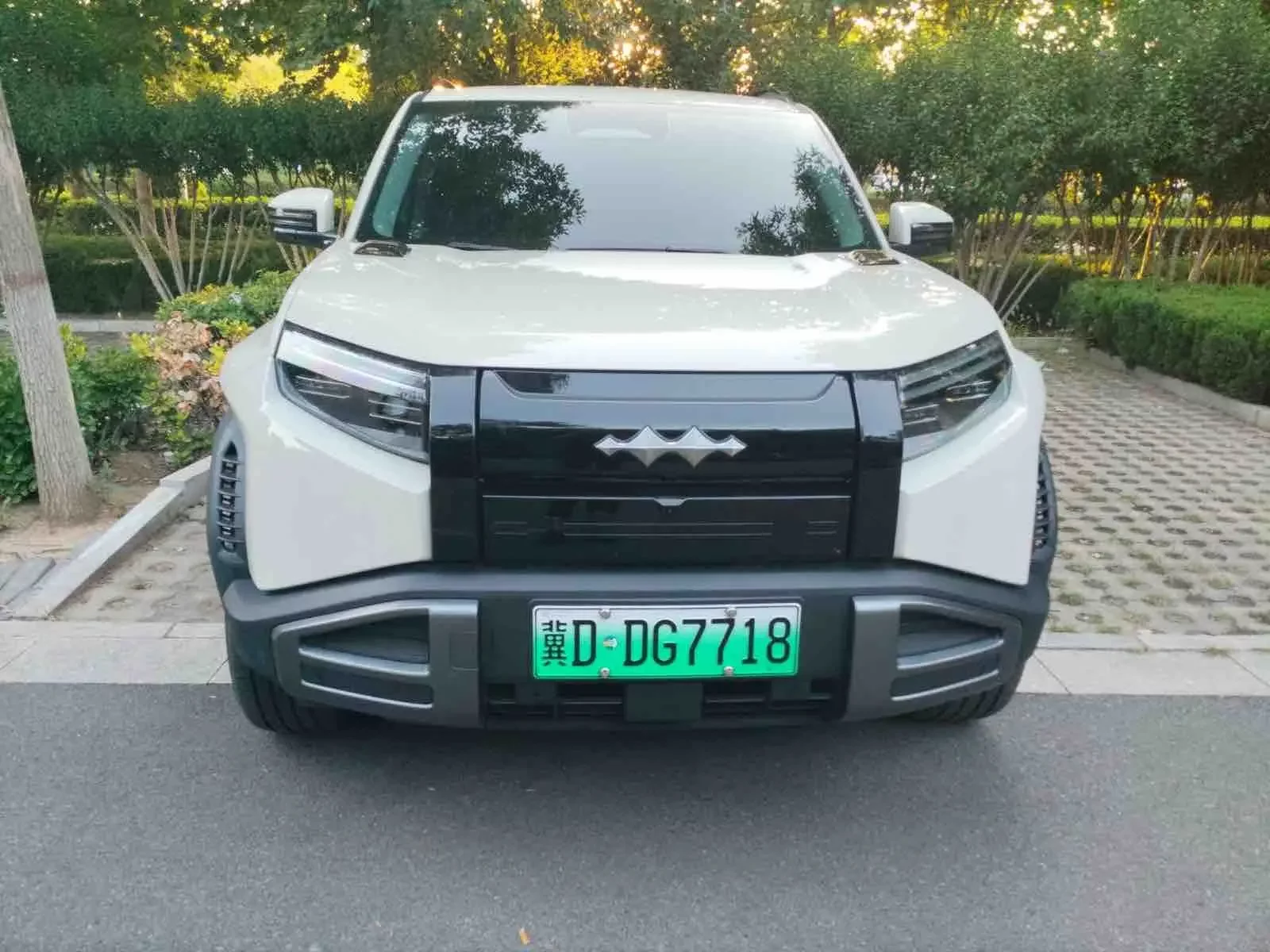 BYD Leopard Titanium 3