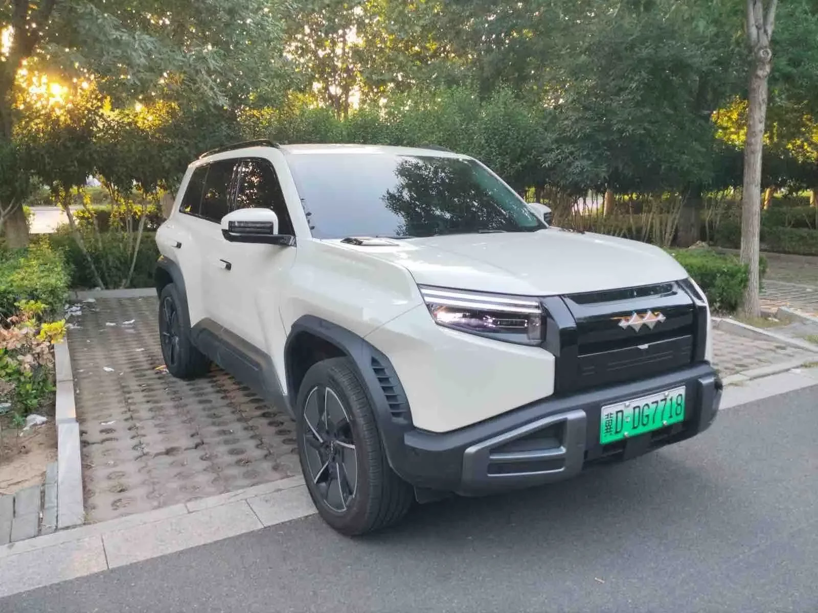 BYD Leopard Titanium 3