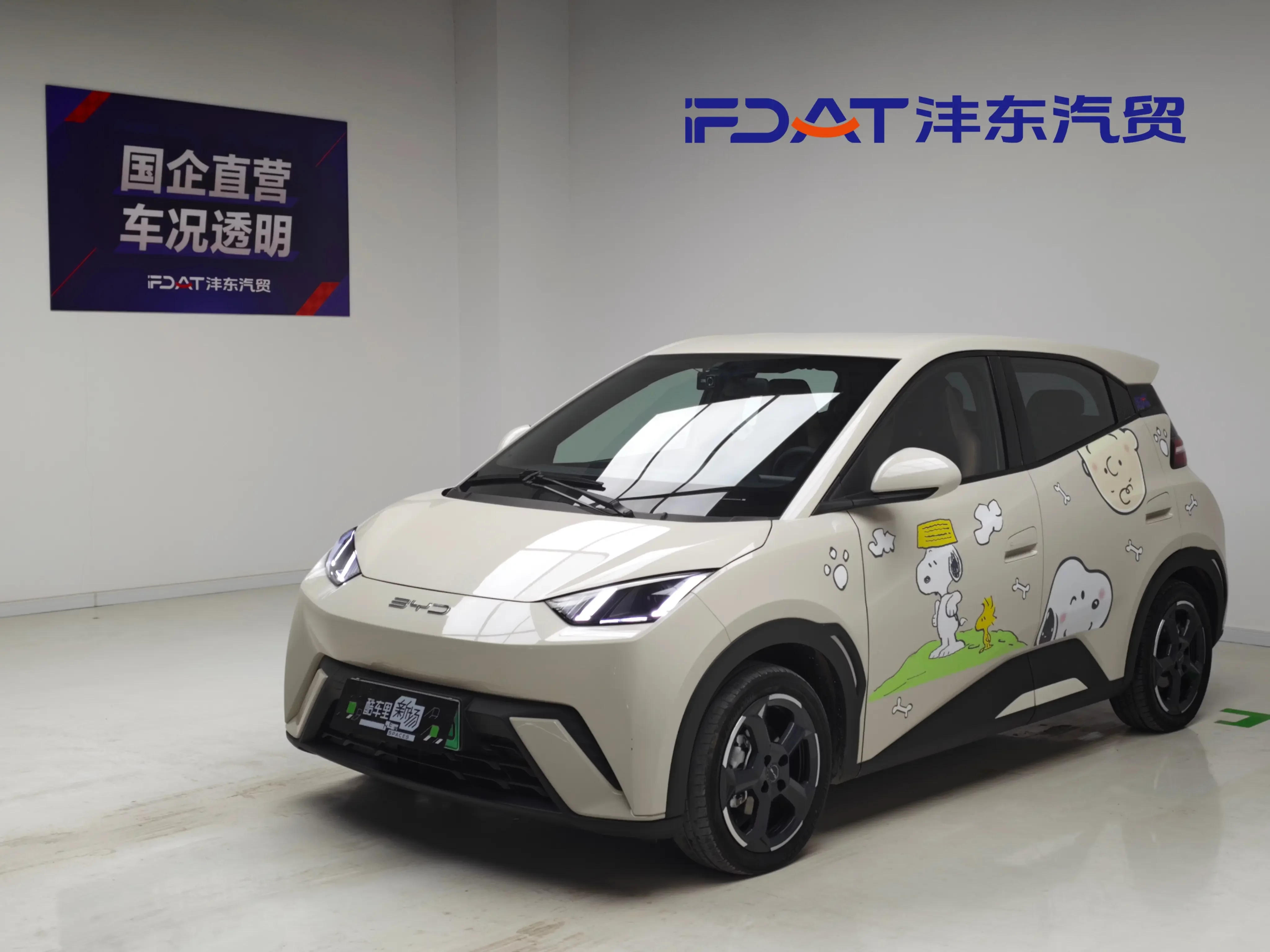 BYD Seagull