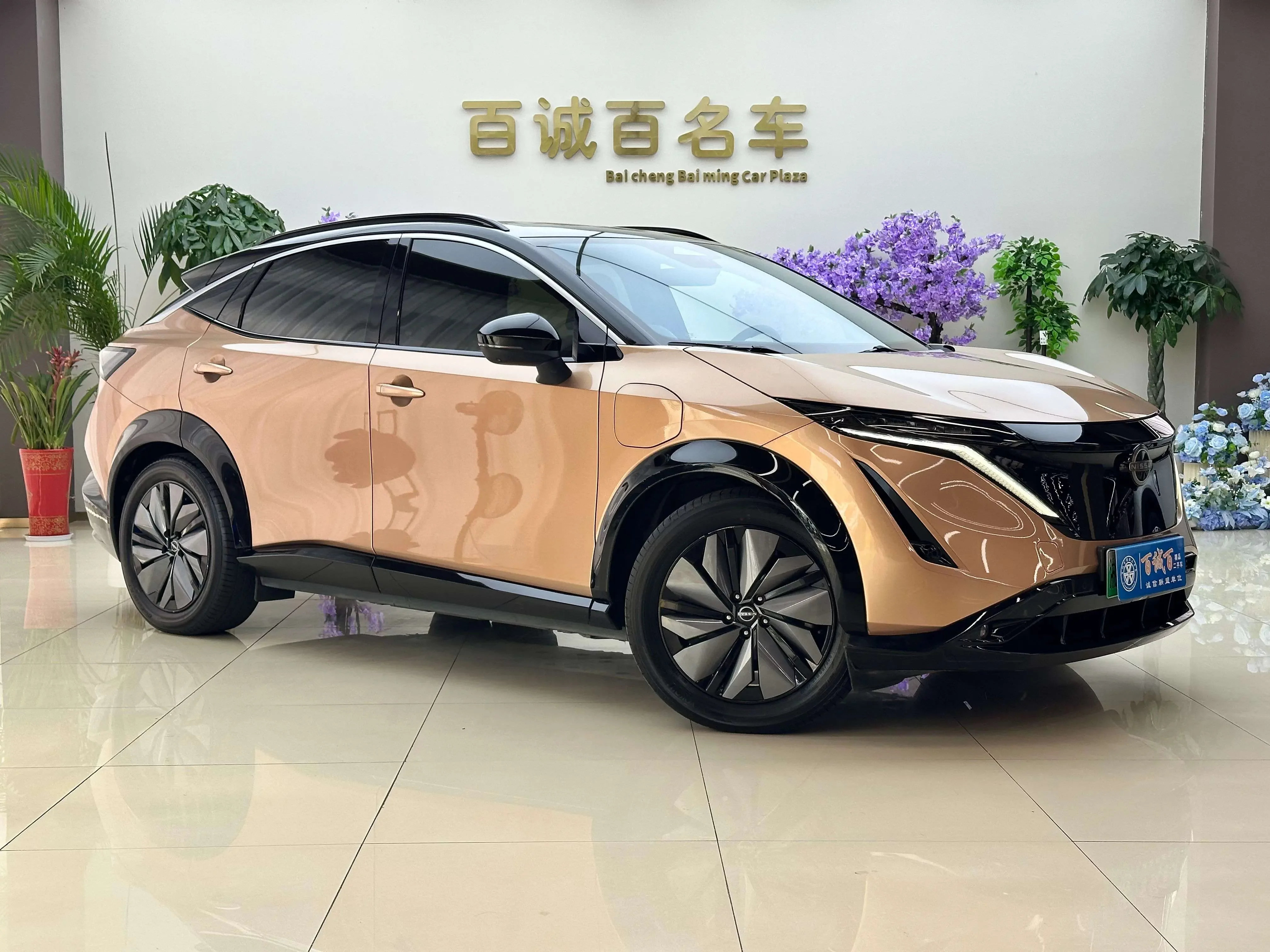 Nissan ARIYA