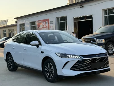 BYD Qin PLUS DM