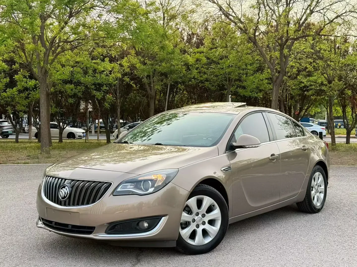 Buick Majesty