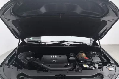Buick Angke Banner