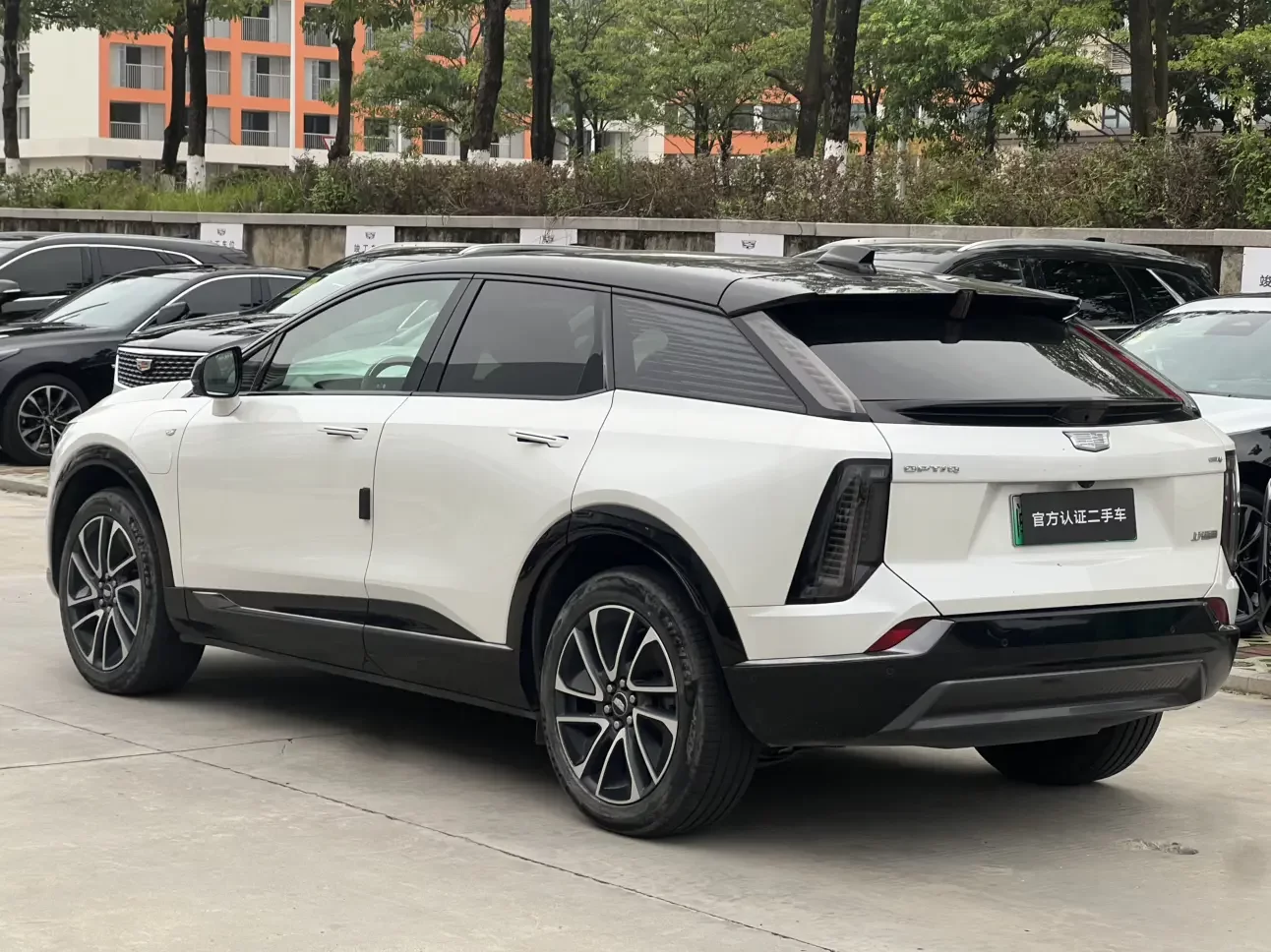 Cadillac IQ Aoge