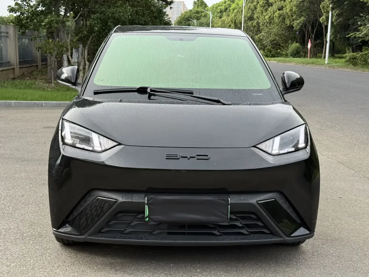 BYD Seagull
