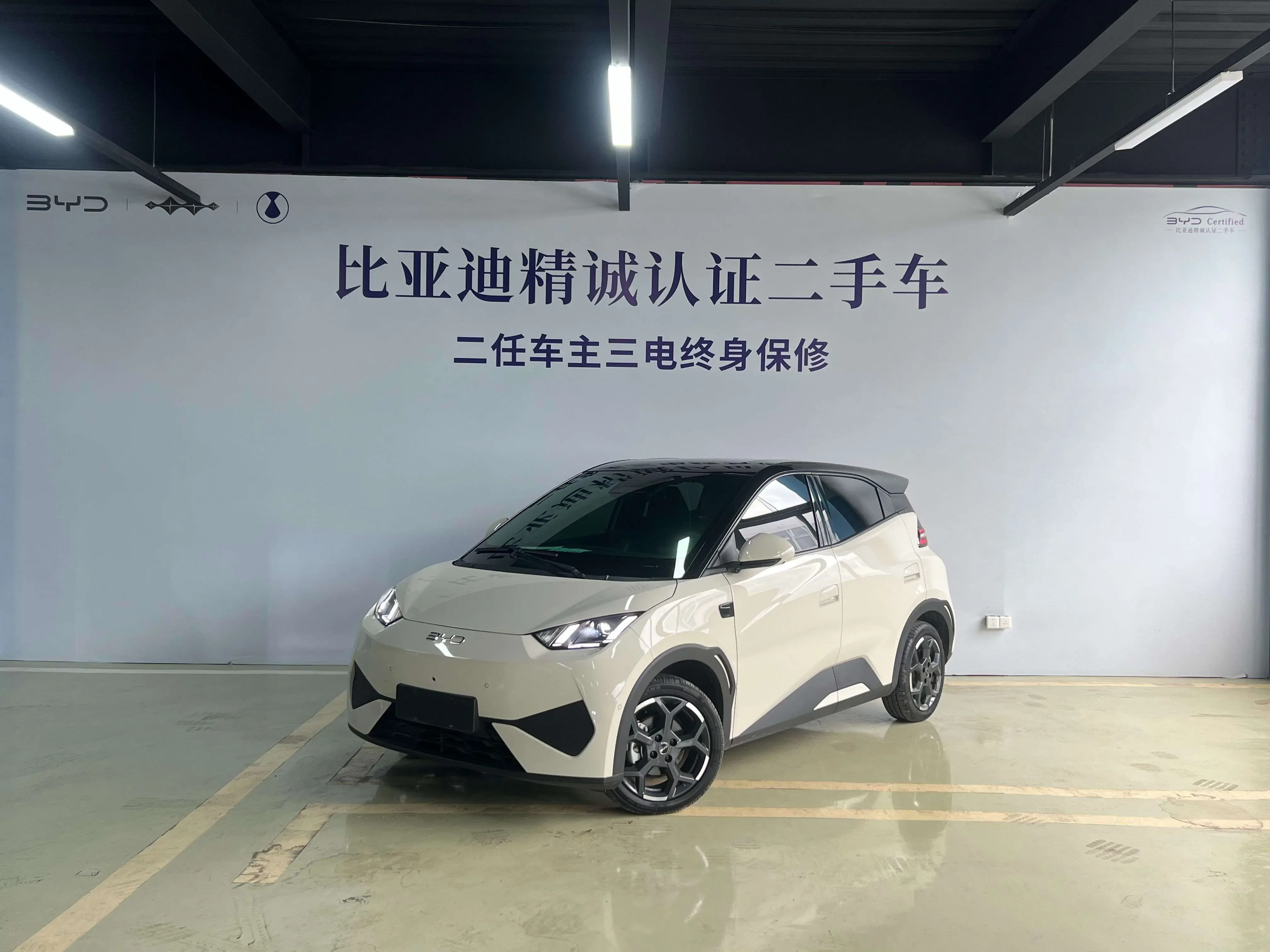 BYD Seagull