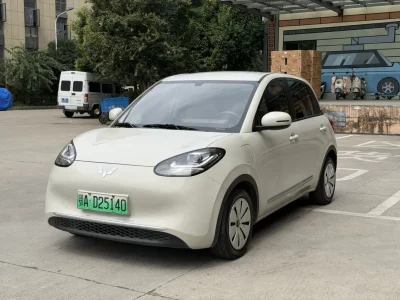 Wuling Bingo