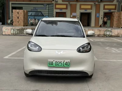 Wuling Bingo