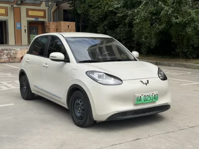 Wuling Bingo