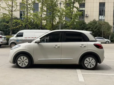 Wuling Bingo