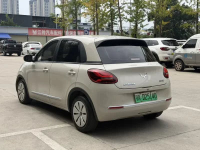 Wuling Bingo