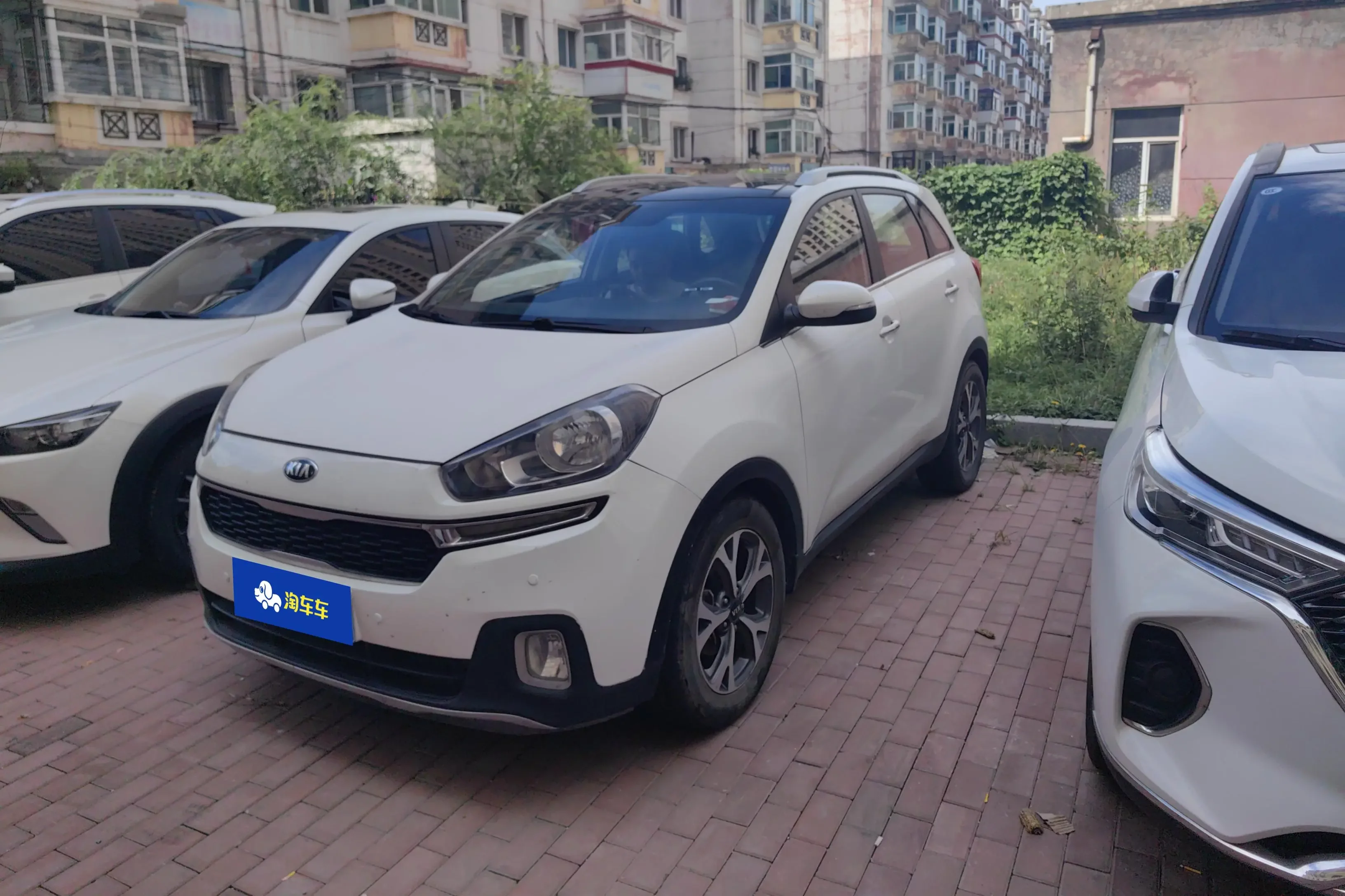 Kia Run proudly