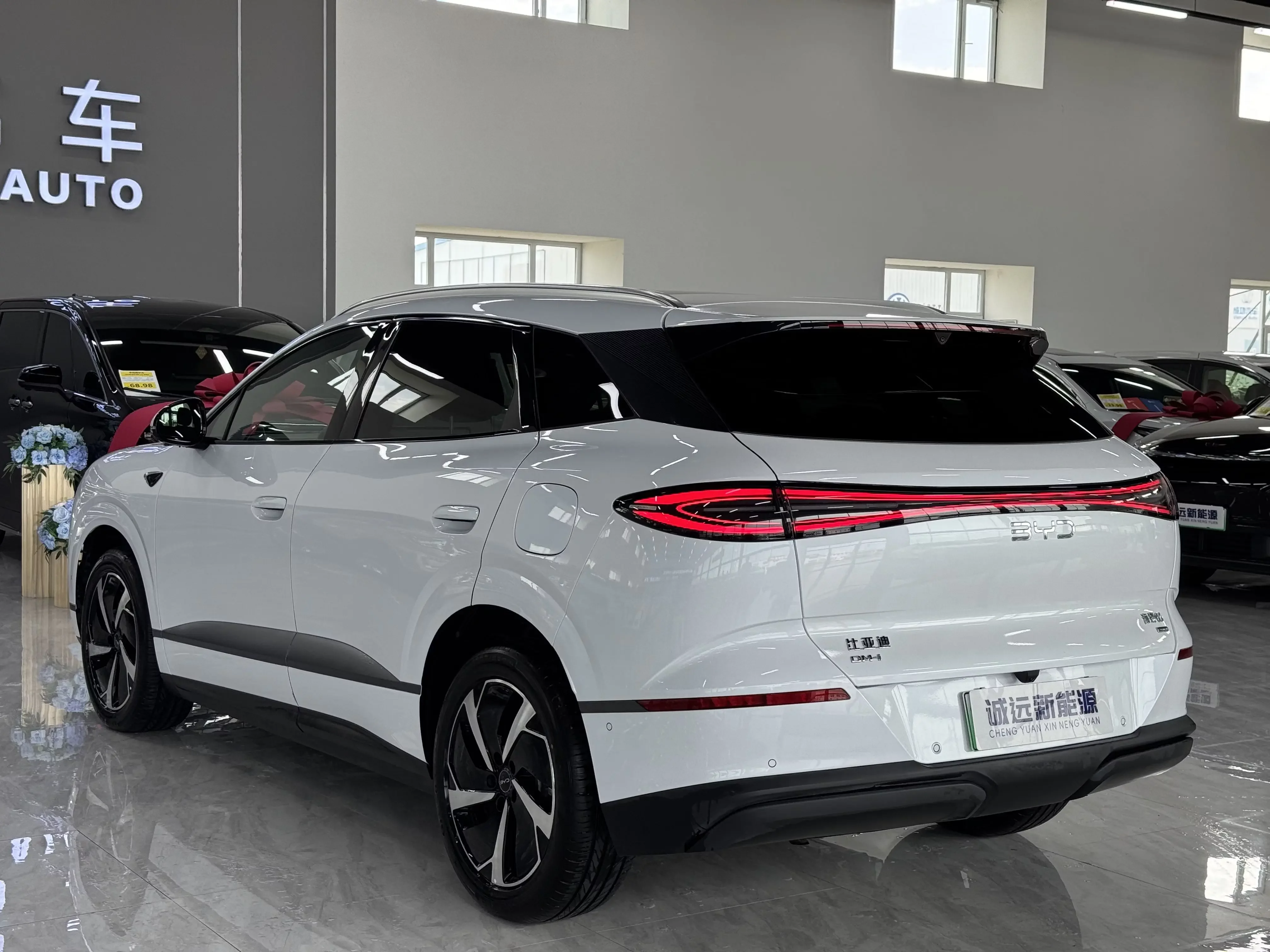 BYD Sea Lion 06DM