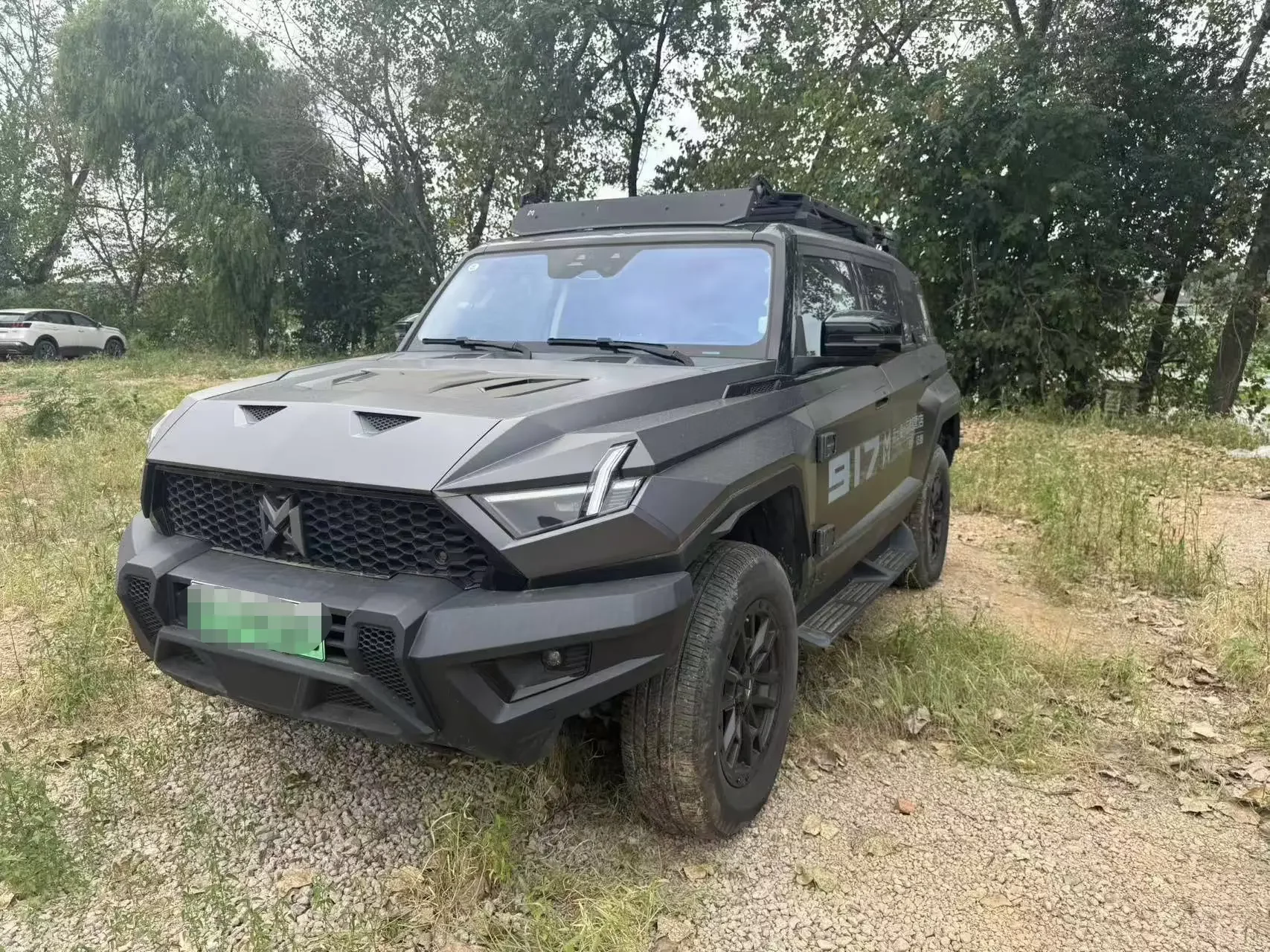 Mengshi Warrior 917