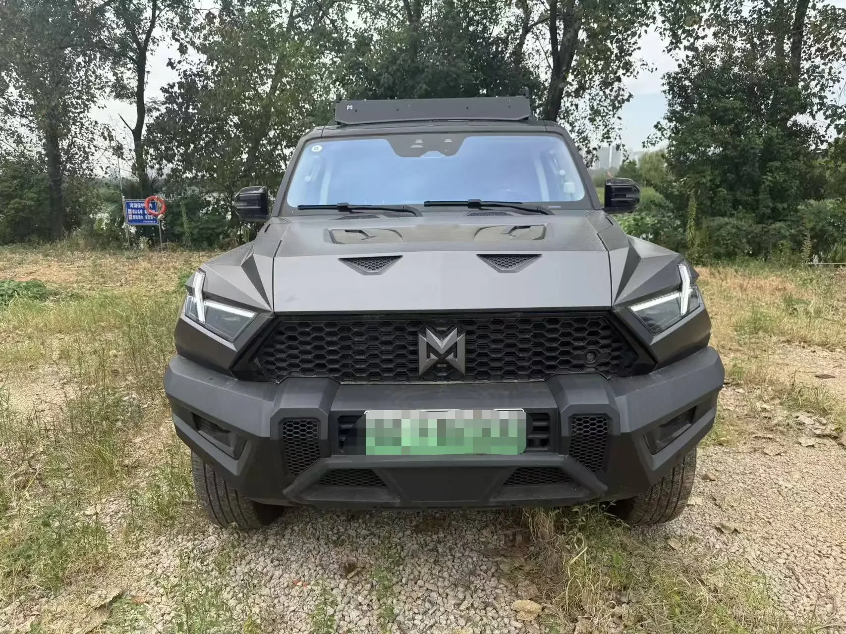 Mengshi Warrior 917