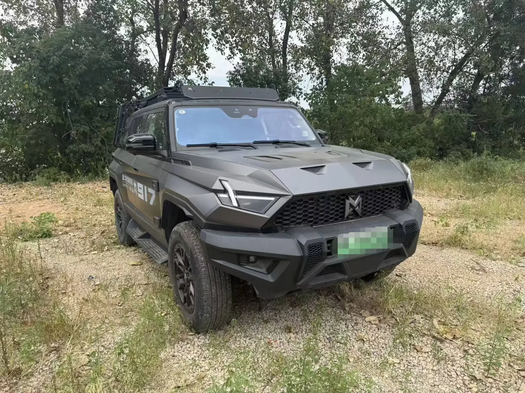 Mengshi Warrior 917