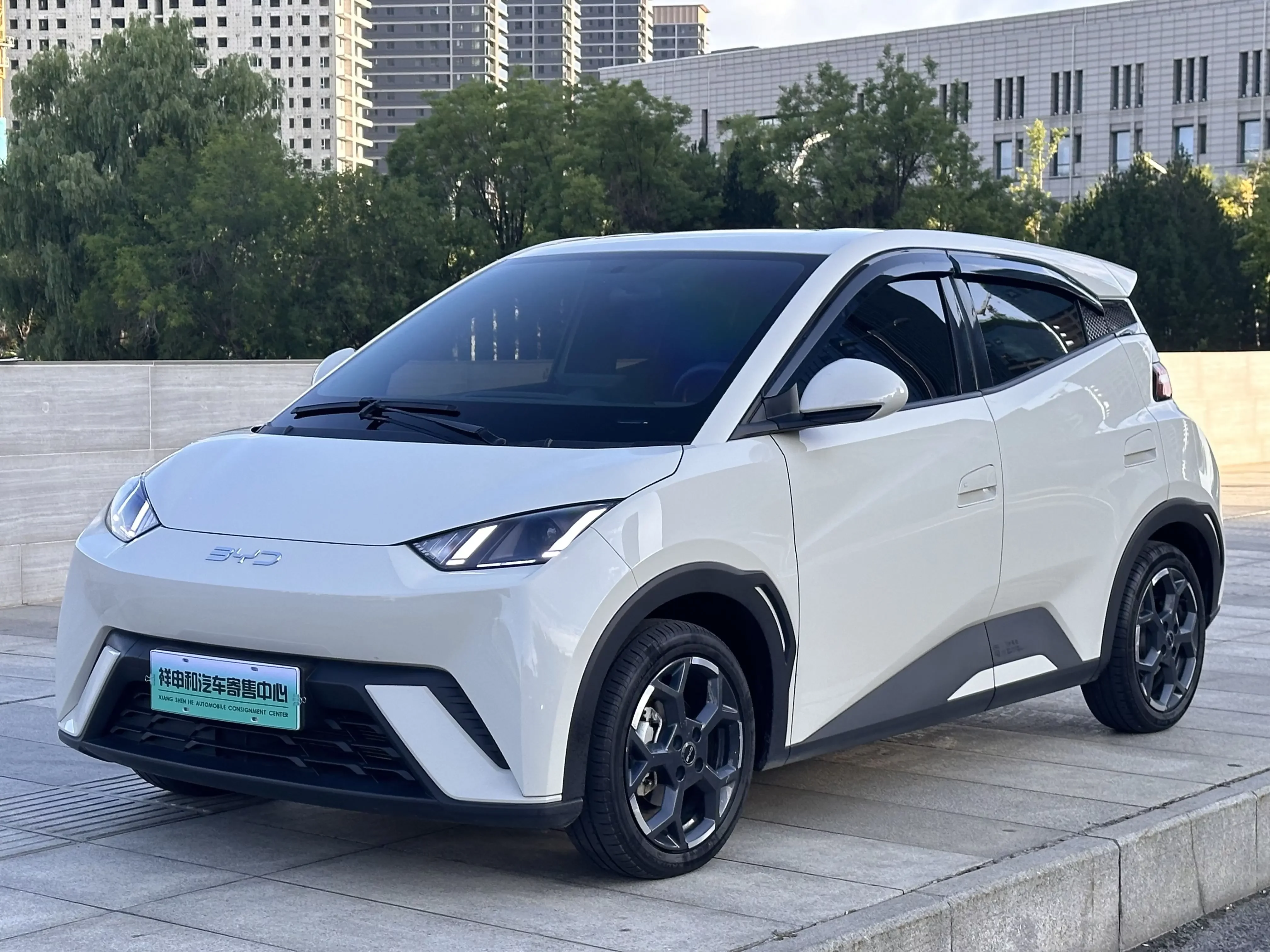 BYD Seagull