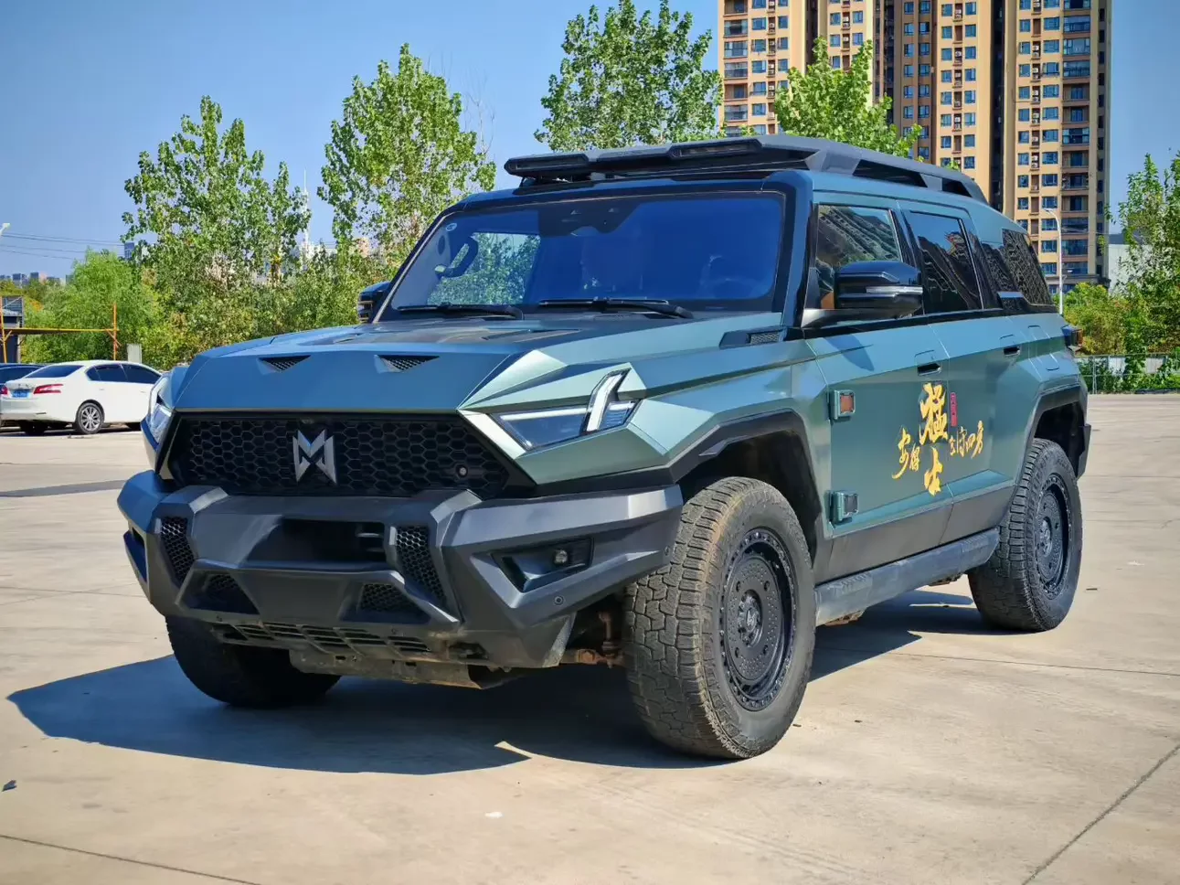 Mengshi Warrior 917