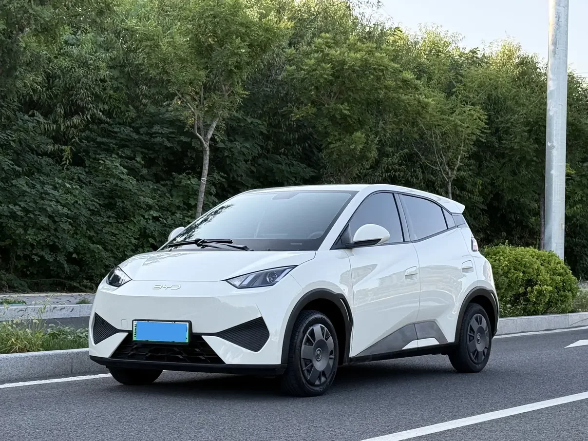 BYD Seagull
