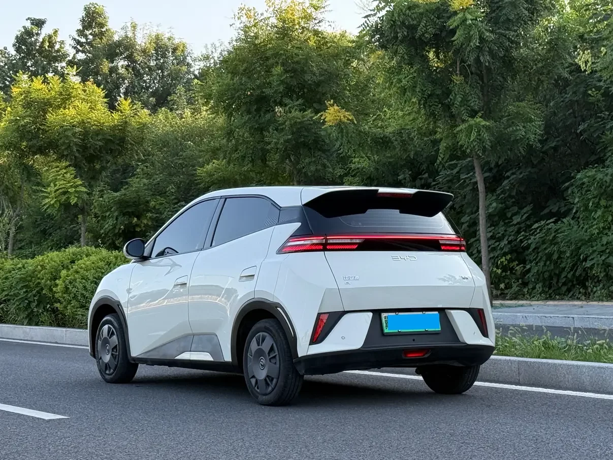 BYD Seagull