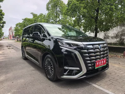 Denza D9 DM