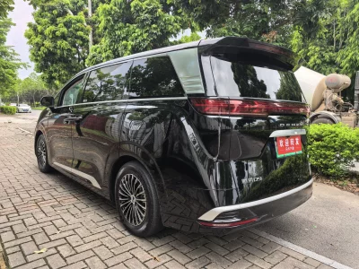 Denza D9 DM