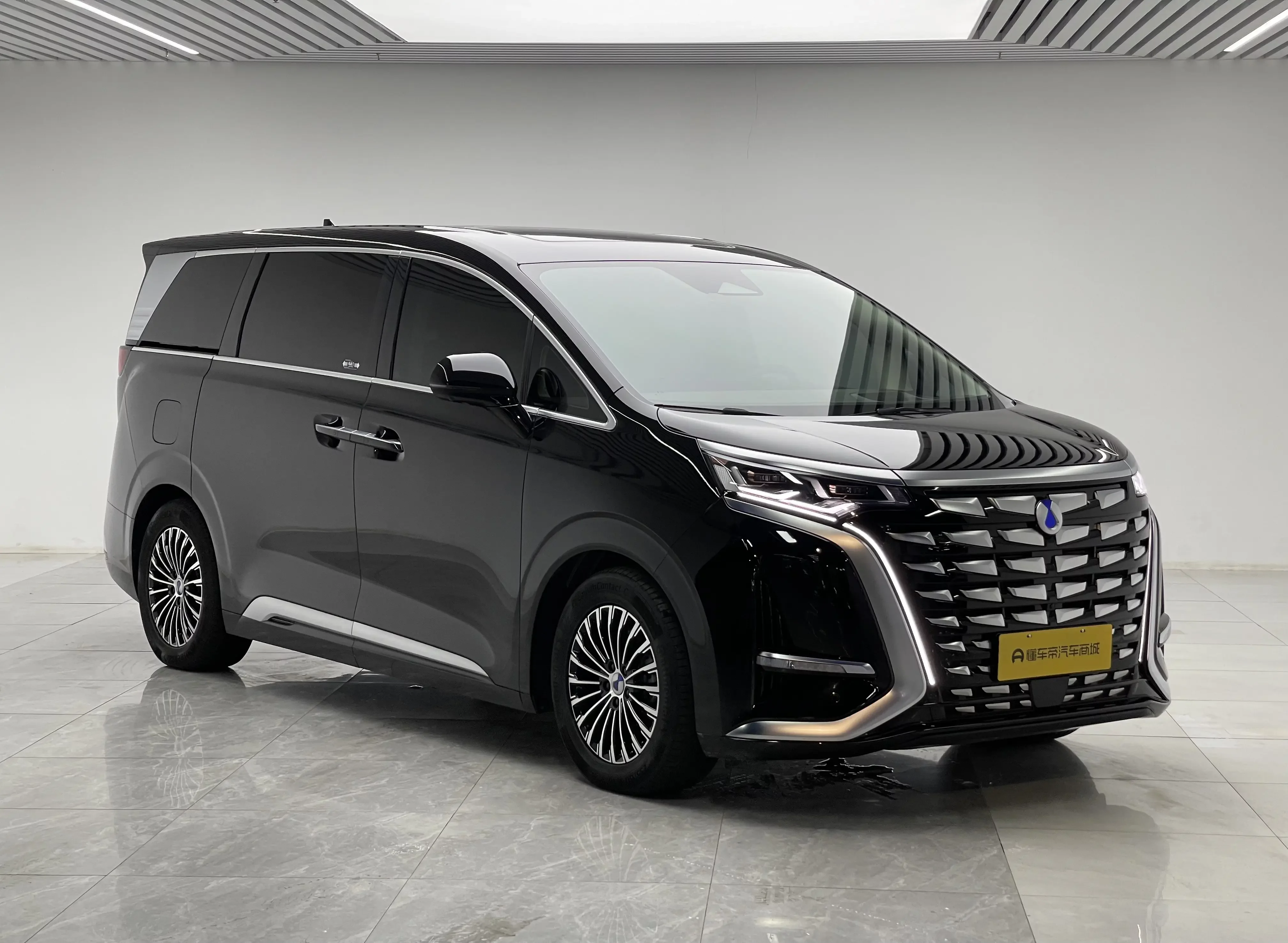 Denza D9 DM