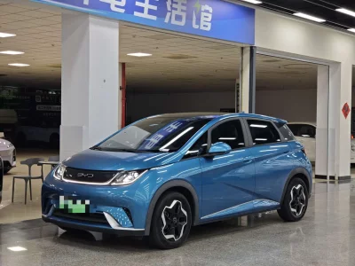 BYD Dolphin