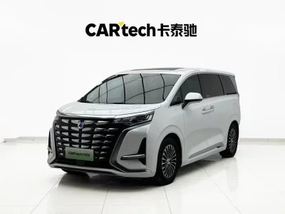 Denza D9 DM, 2024 — купить с доставкой из Китая