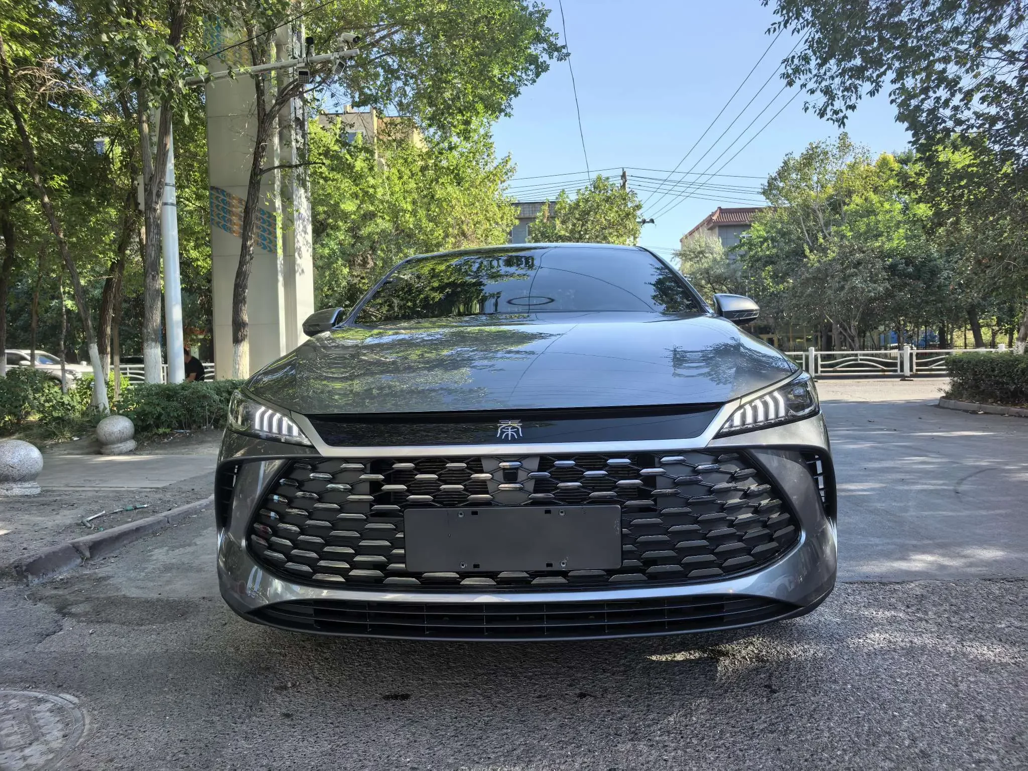 BYD Qin PLUS DM