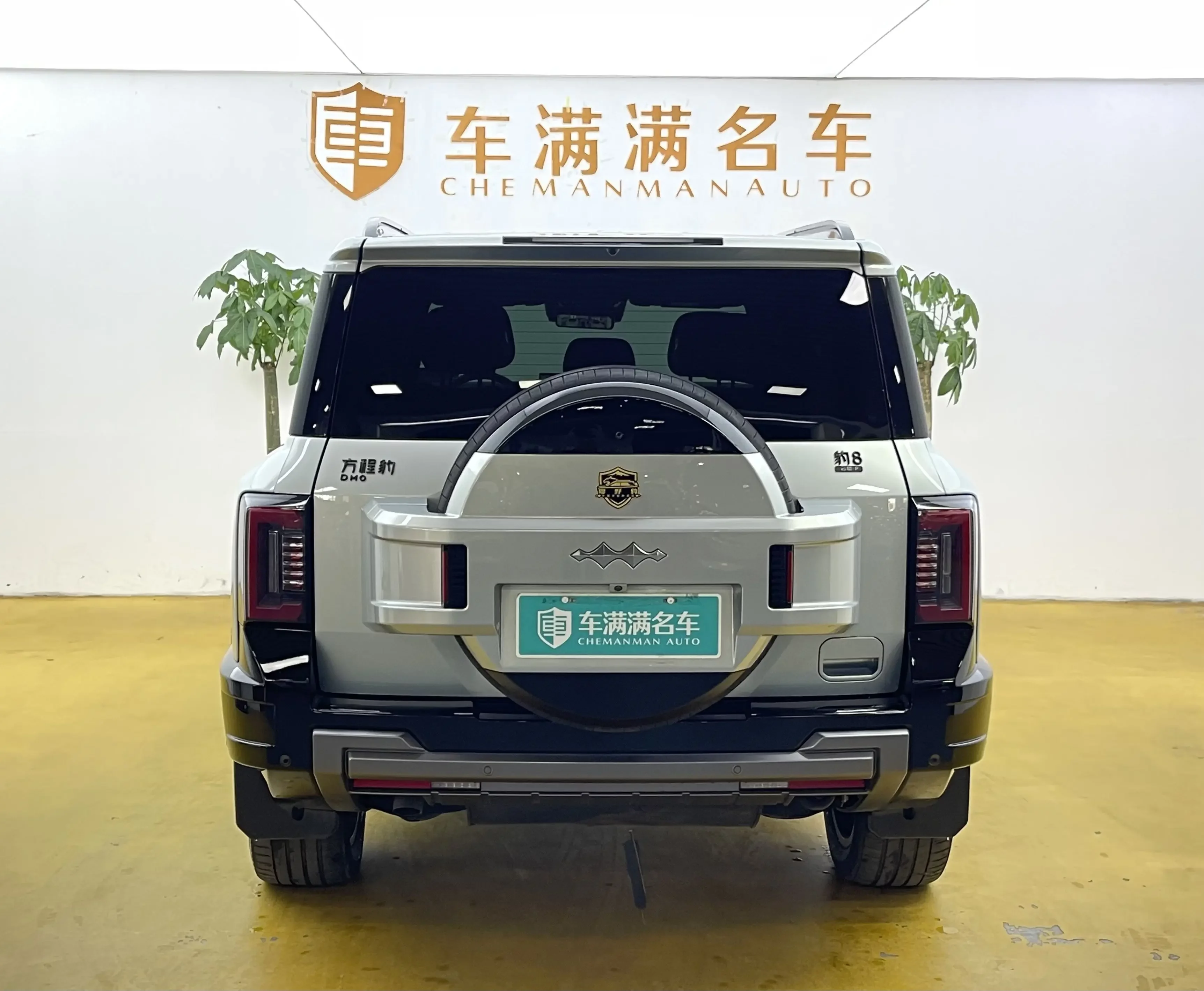 BYD Leopard Leopard 8
